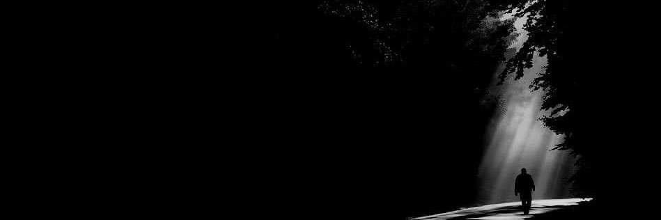 celidojr's profile banner image