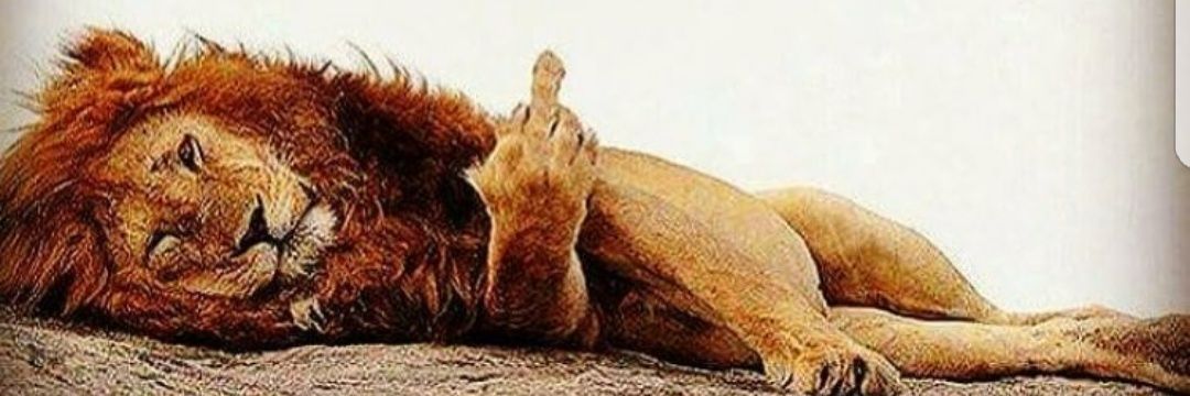 LeonDaLion3's profile banner image
