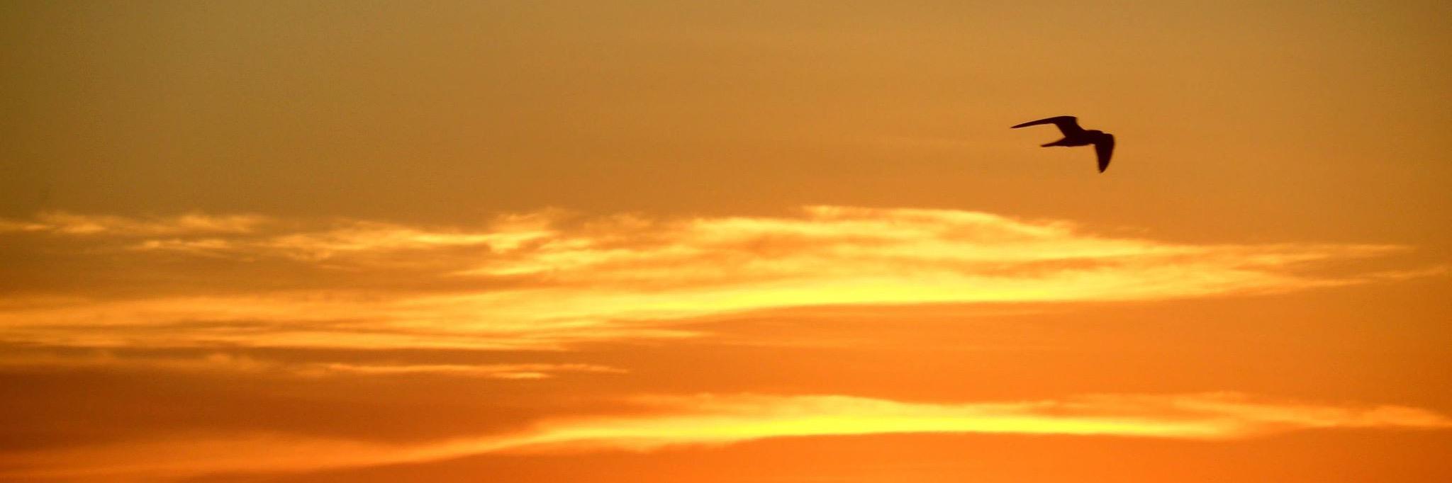 Parker724's profile banner image