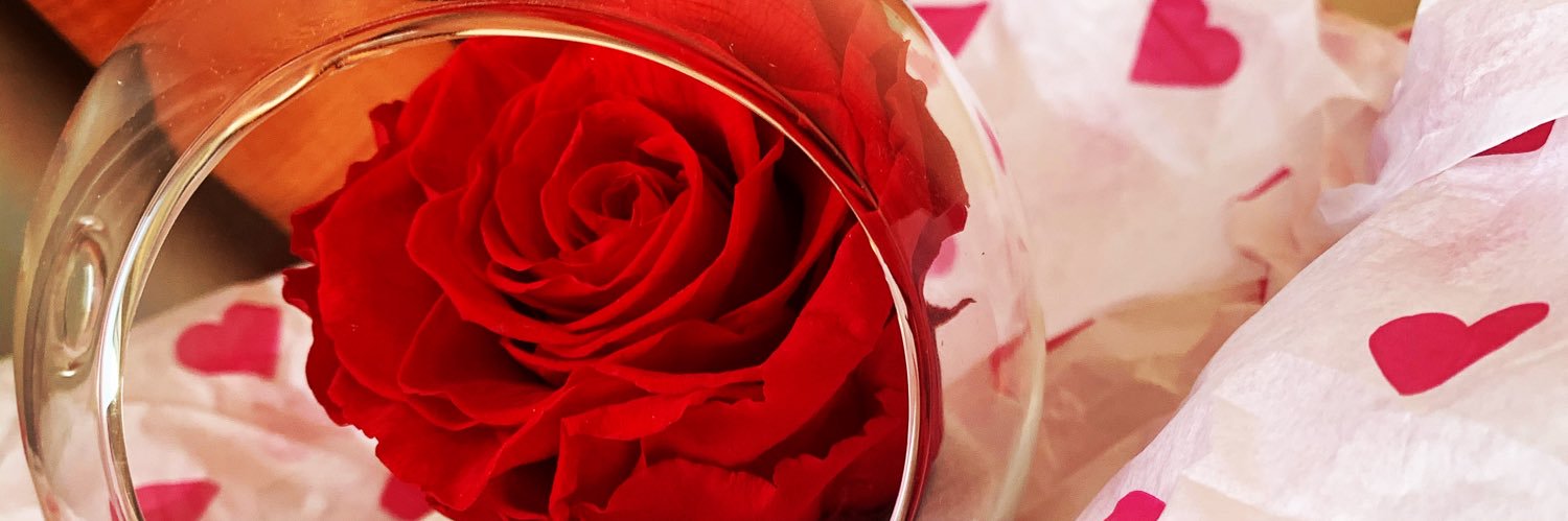 kimorkimmy's profile banner image