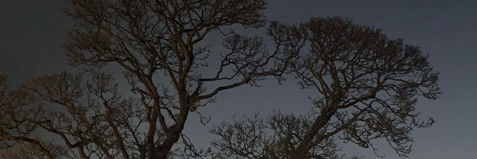 FacelessFunk's profile banner image