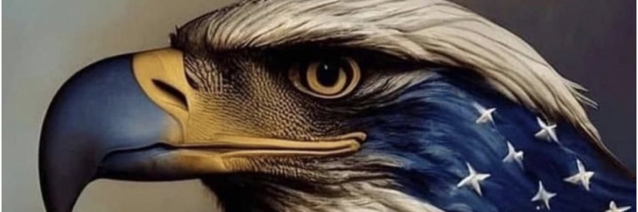 joannemgriffin's profile banner image