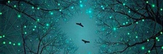jinxed1985's profile banner image