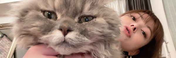 yui_tang Profile Banner