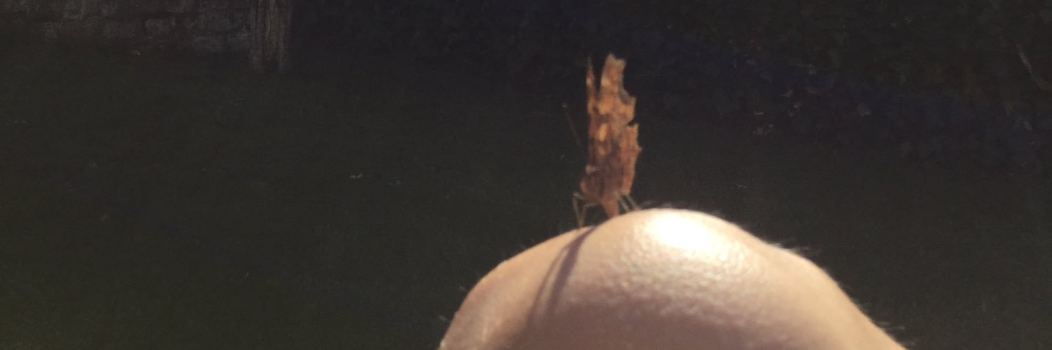 13daysofAmber's profile banner image