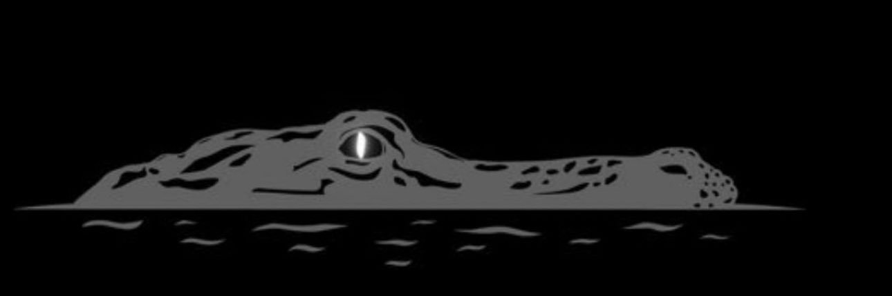aduarte008's profile banner image