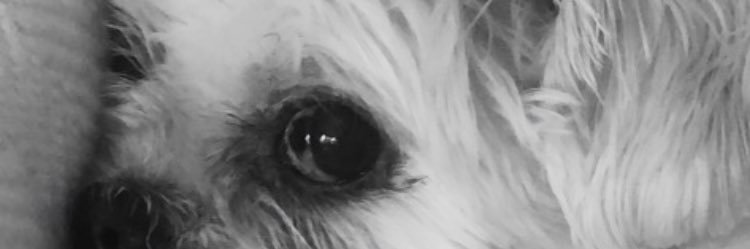 nicmp_24's profile banner image