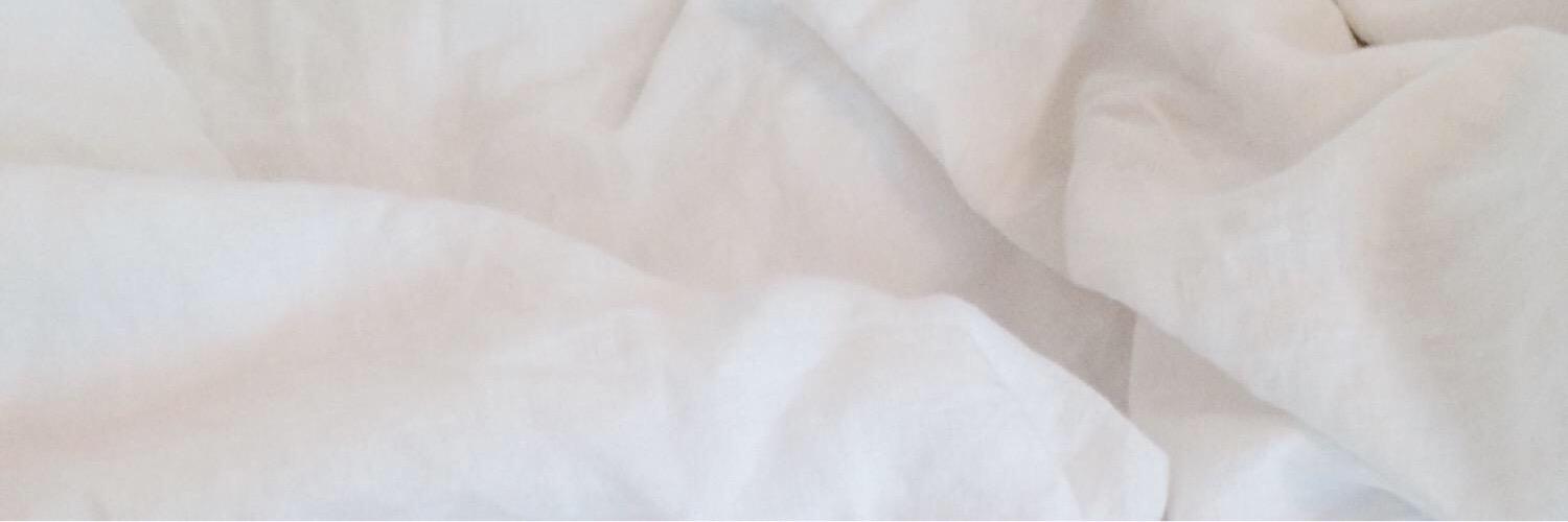 ToraEvinger's profile banner image
