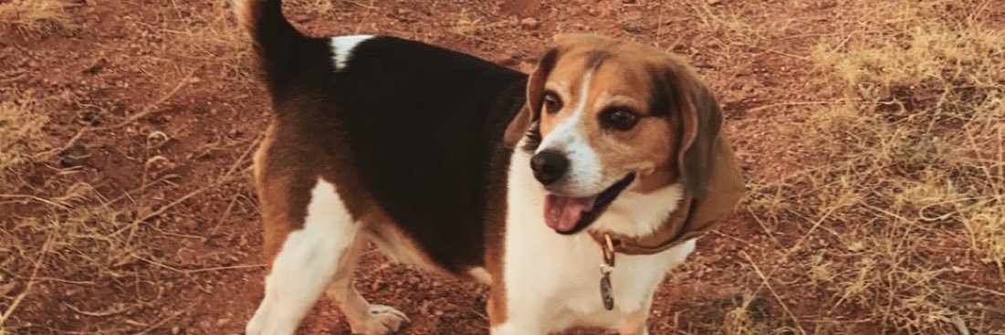 haleyyhbu's profile banner image