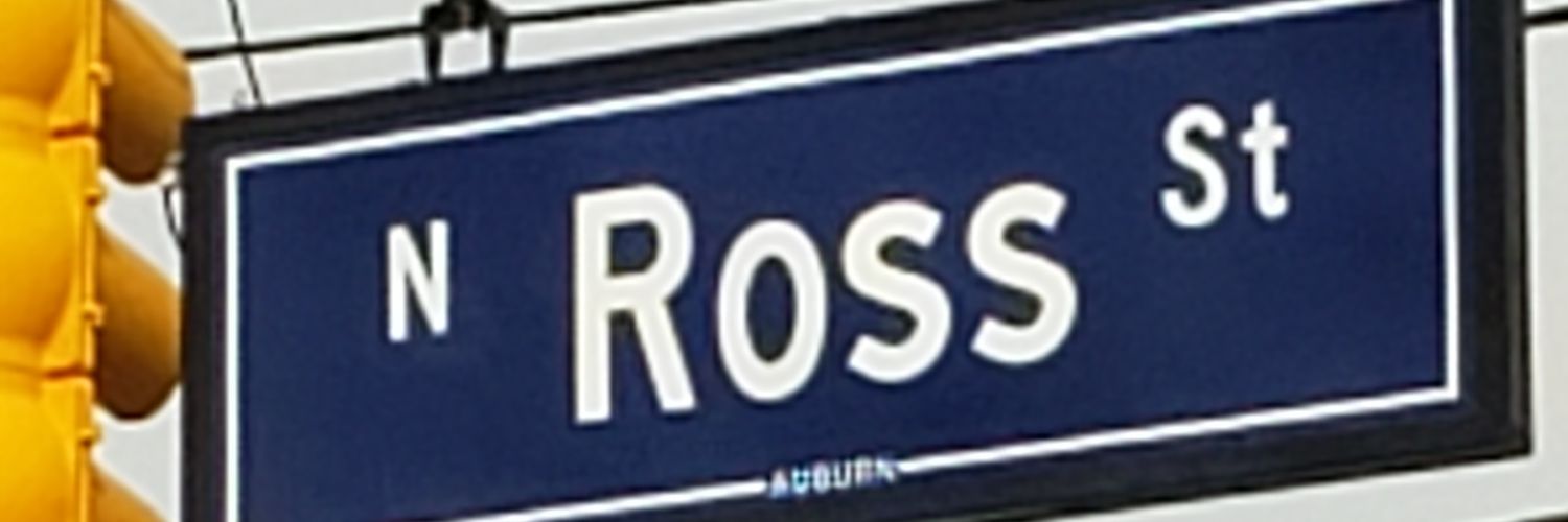 fundaraross's profile banner image