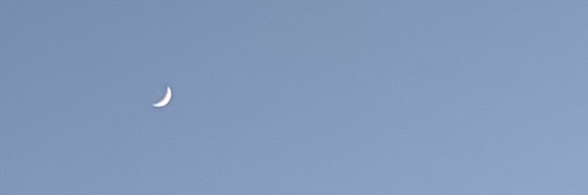 laurarecior's profile banner image