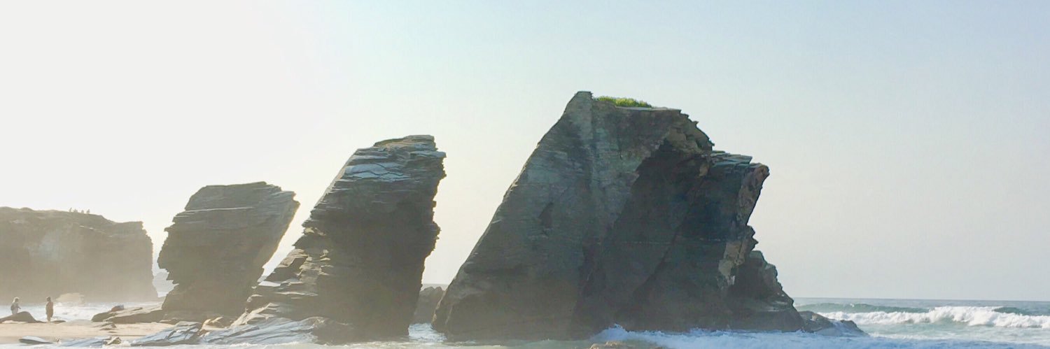 leonros_'s profile banner image