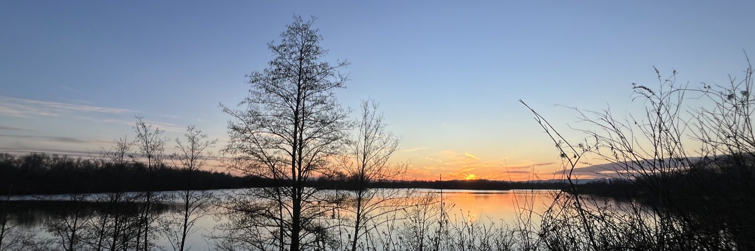 HasdrubalSB's profile banner image