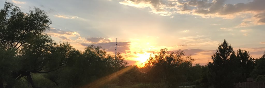 cceline3241's profile banner image