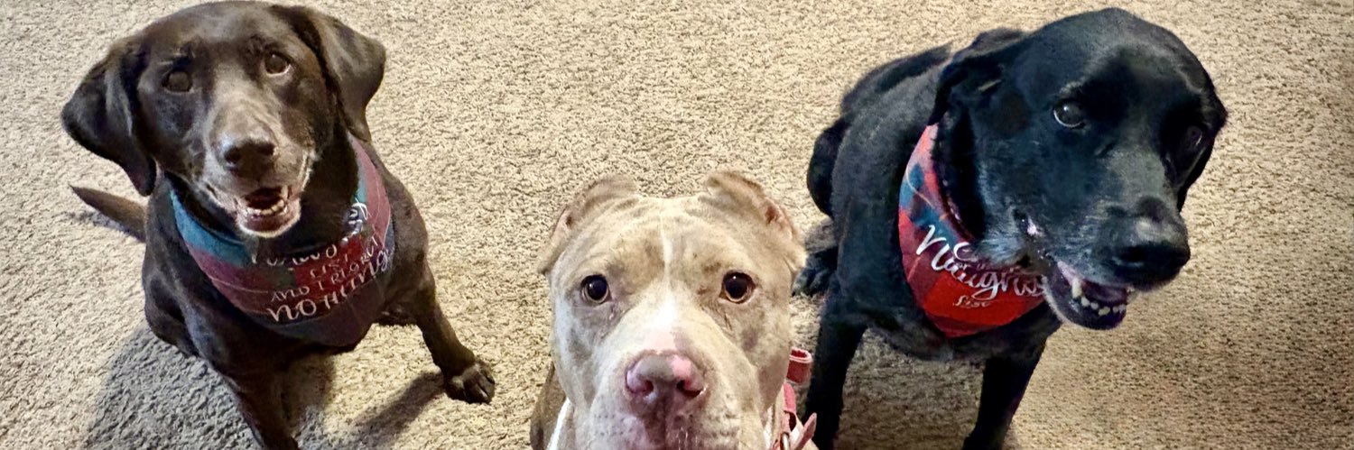 Lfoxy23 🇺🇸💙✭ banner