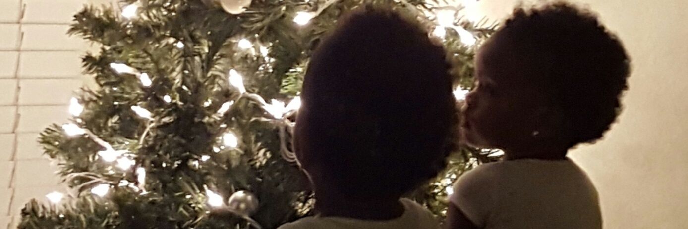 VERONICA LOUISE KELLEY JONES banner