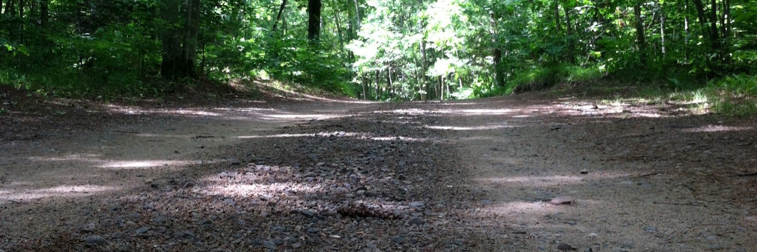 Daniel Schall banner