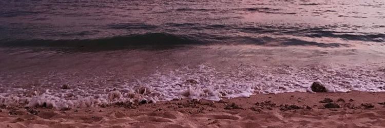 domipochat's profile banner image