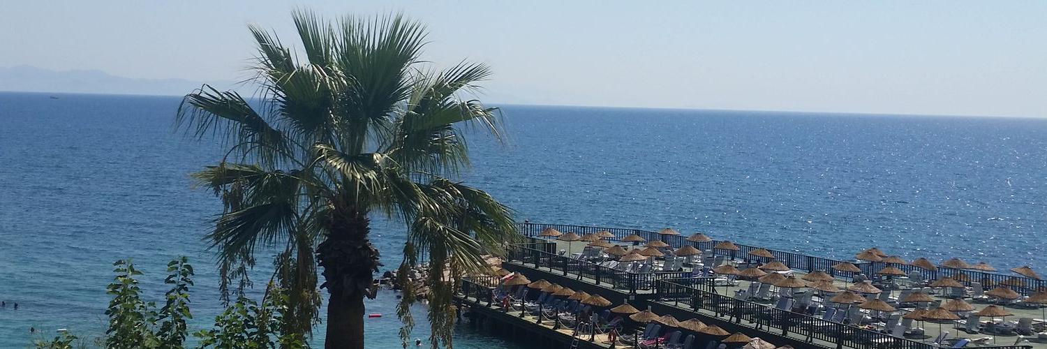 ozlemc1's profile banner image