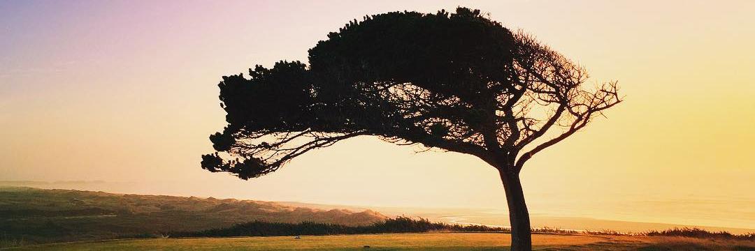 Esquaredgolf's profile banner image