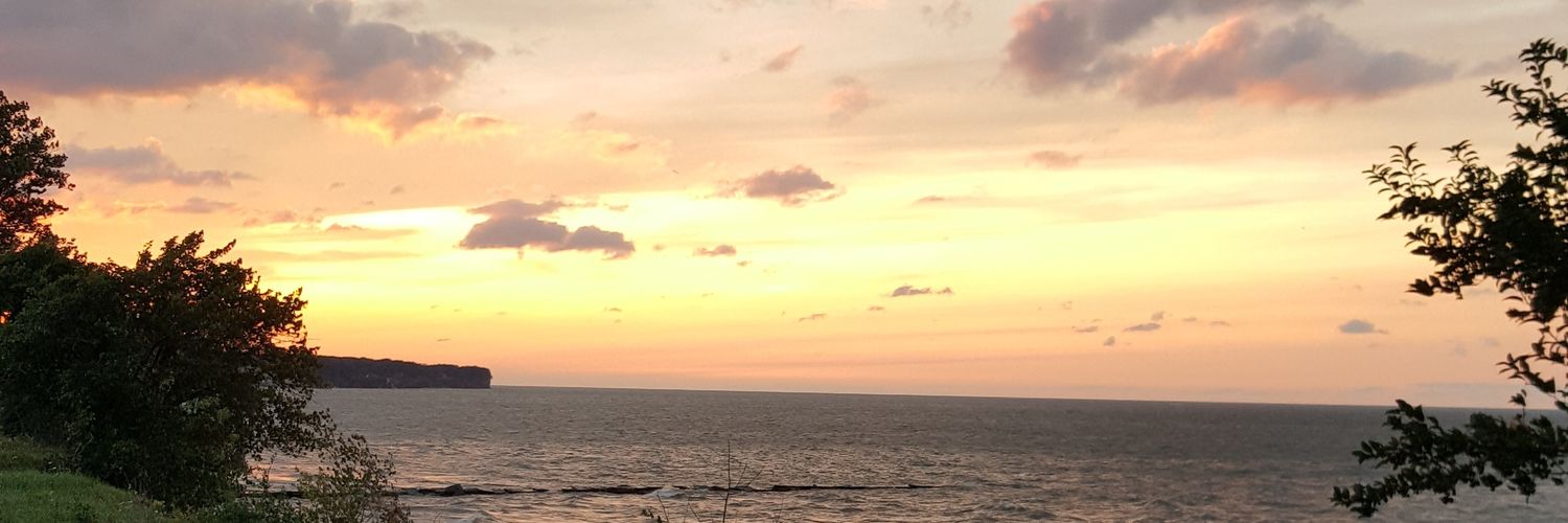 ShawnaMarieAnne's profile banner image