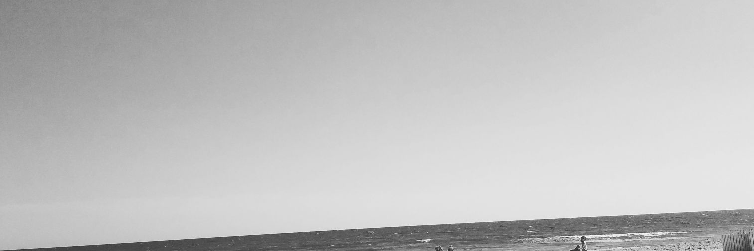 fvsfan's profile banner image