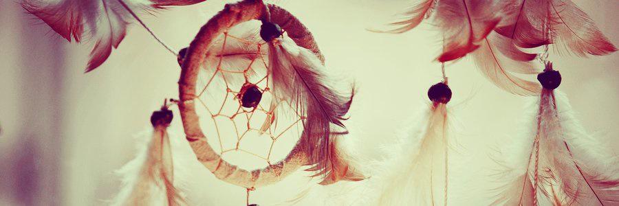 ZoomIntoVicky's profile banner image