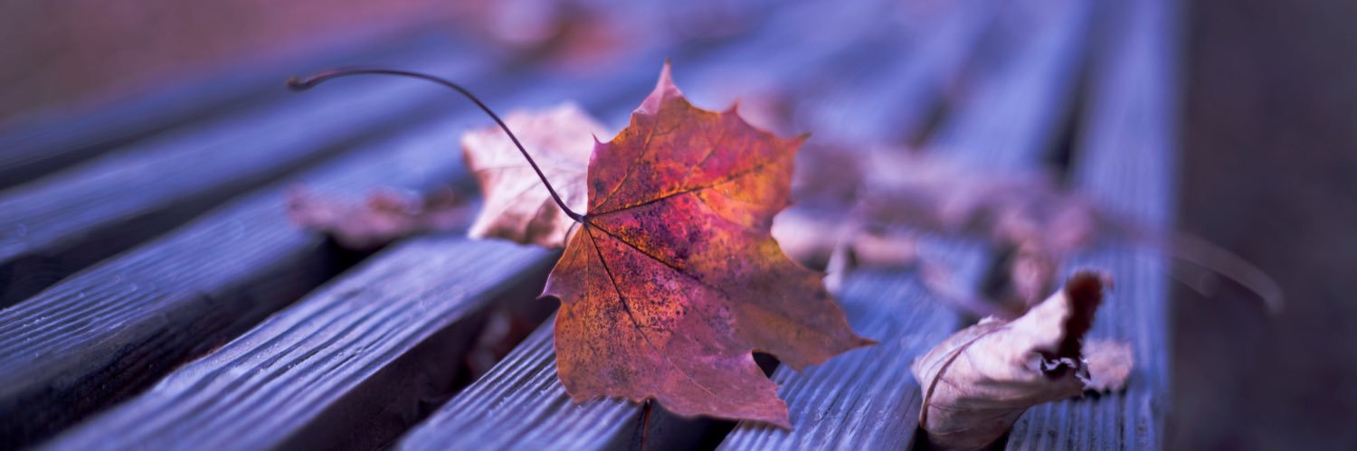 abosnaidi's profile banner image