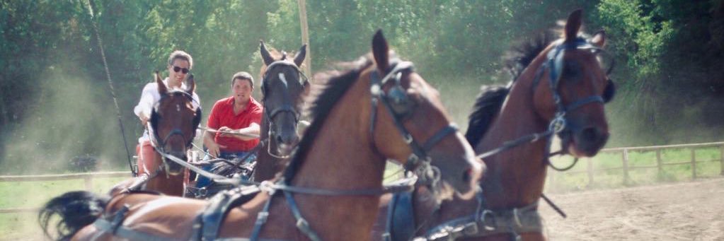 Thibaut Mathieu🐴🇫🇷 banner