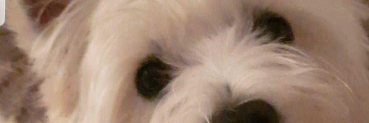 BrayMatty's profile banner image