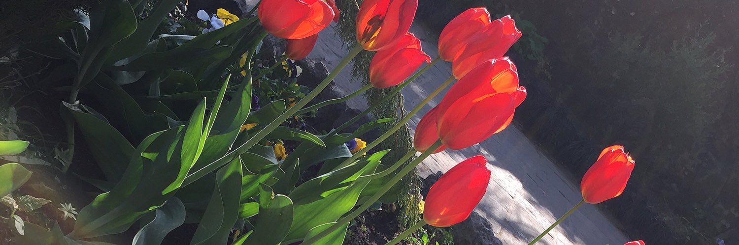 HairOfHazza's profile banner image