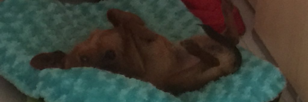 cypavy's profile banner image