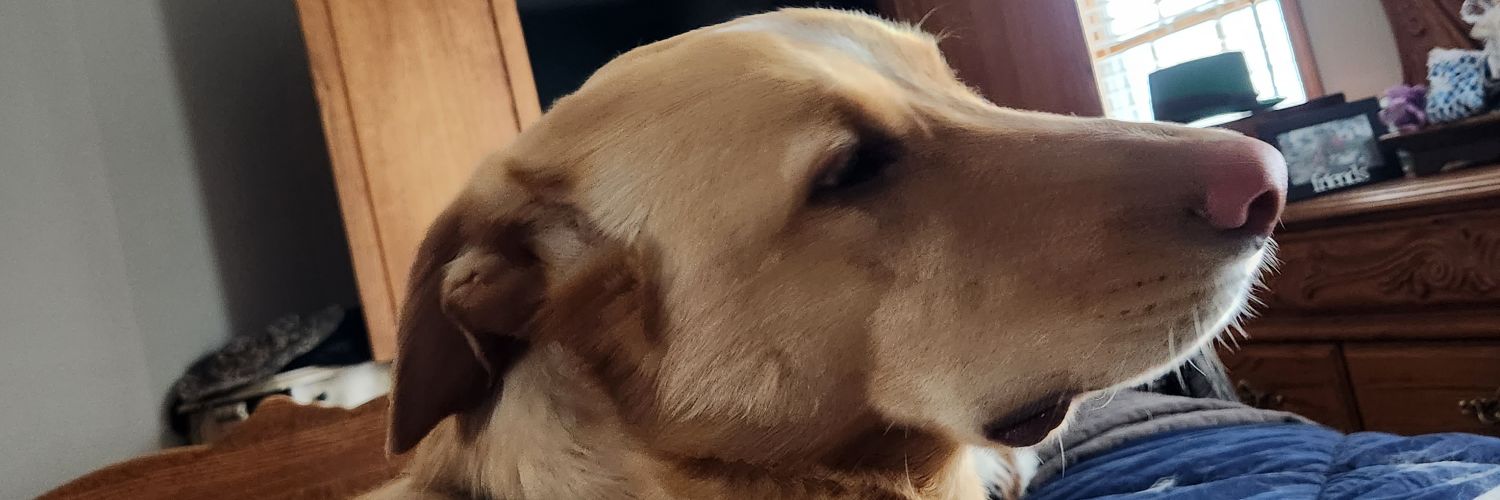 scotthanse's profile banner image