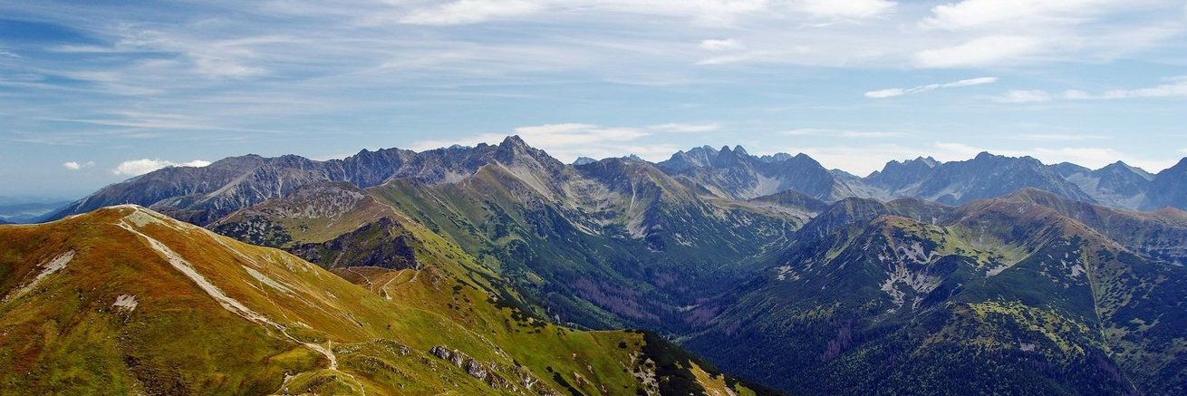 Anthrobliss's profile banner image