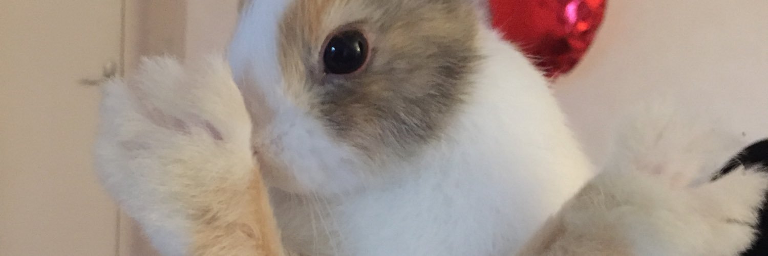HugolineR's profile banner image