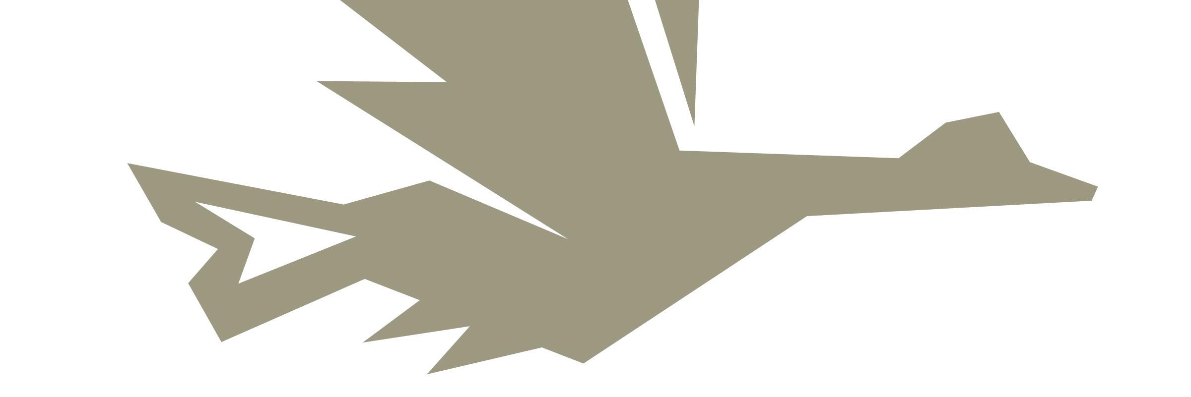 goosetail's profile banner image