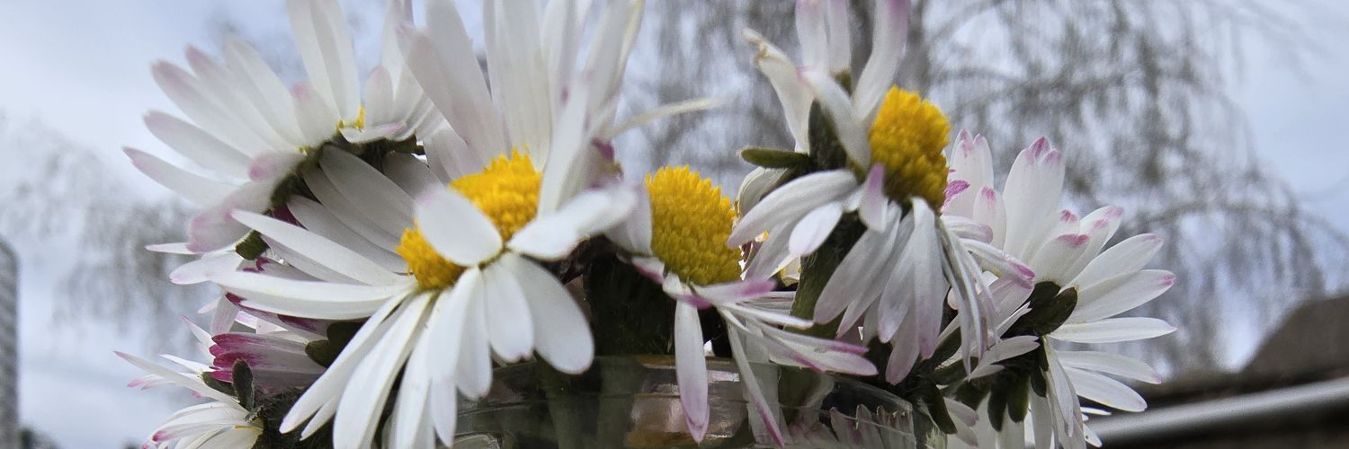 Spartnco 🇪🇺 banner