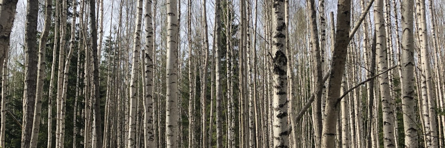 jesperlarsson97's profile banner image
