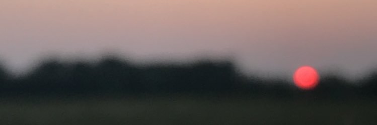 beccaherickson's profile banner image