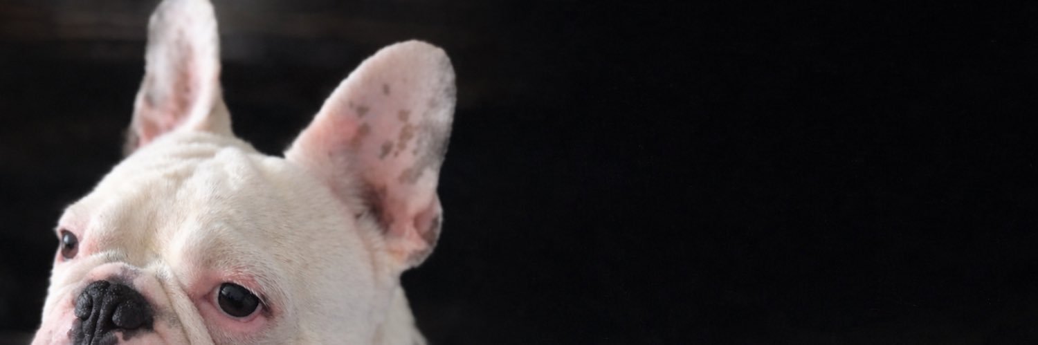 LeidyMurillo6's profile banner image