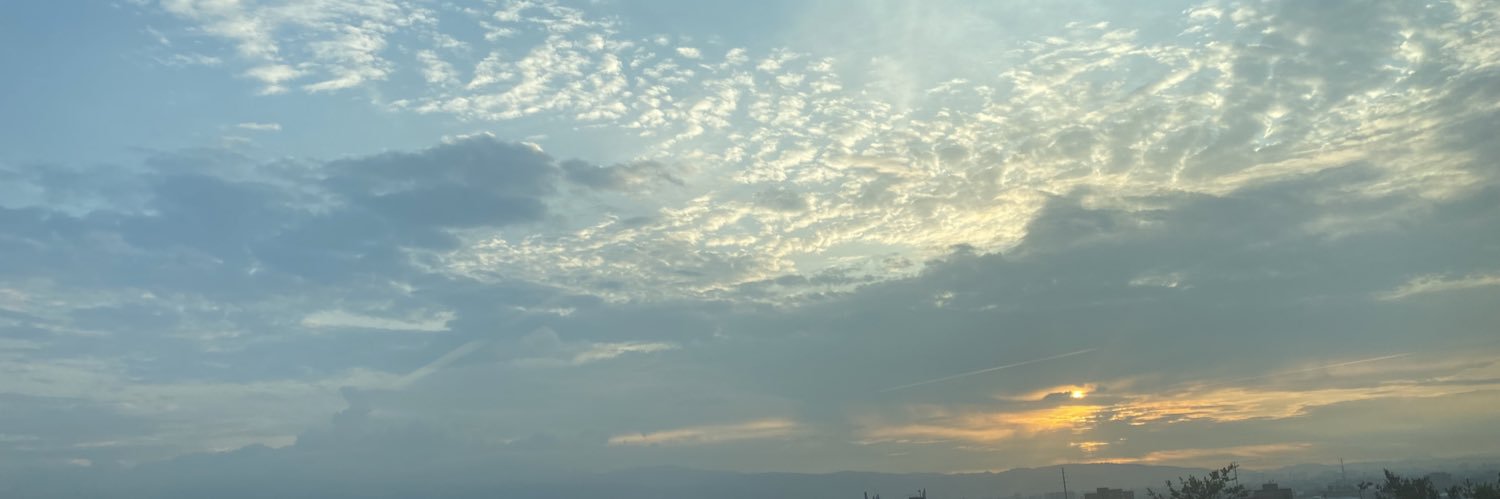 Leidy_Alonso's profile banner image