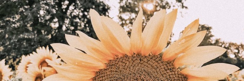 arielllevonn's profile banner image