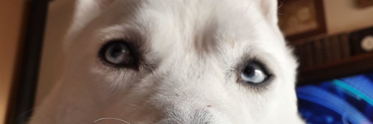 JaimeMontero8's profile banner image