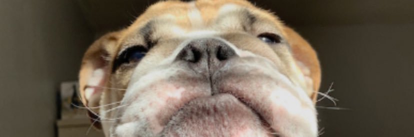 MBacho0's profile banner image