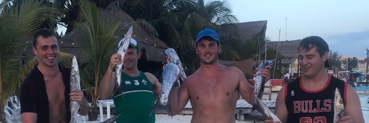 Kevin O'Connor banner
