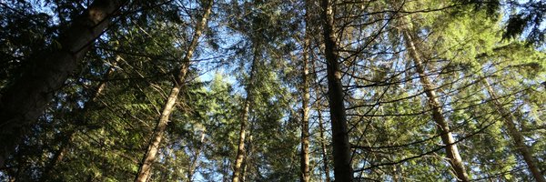 wzyboy Profile Banner