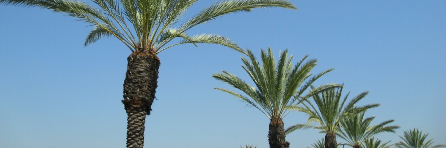 joe3910's profile banner image