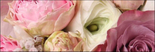 roxanneford_'s profile banner image
