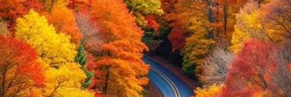 JulesUSA6 Profile Banner