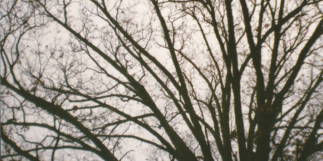 emmeraldd's profile banner image